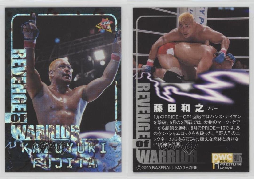 00 m Pro Wrestling Revenge Of Warrior Kazuyuki Fujita Rw7 Ebay 00 m Pro Wrestling Revenge Of Warrior Kazuyuki Fujita Rw7 Ebay