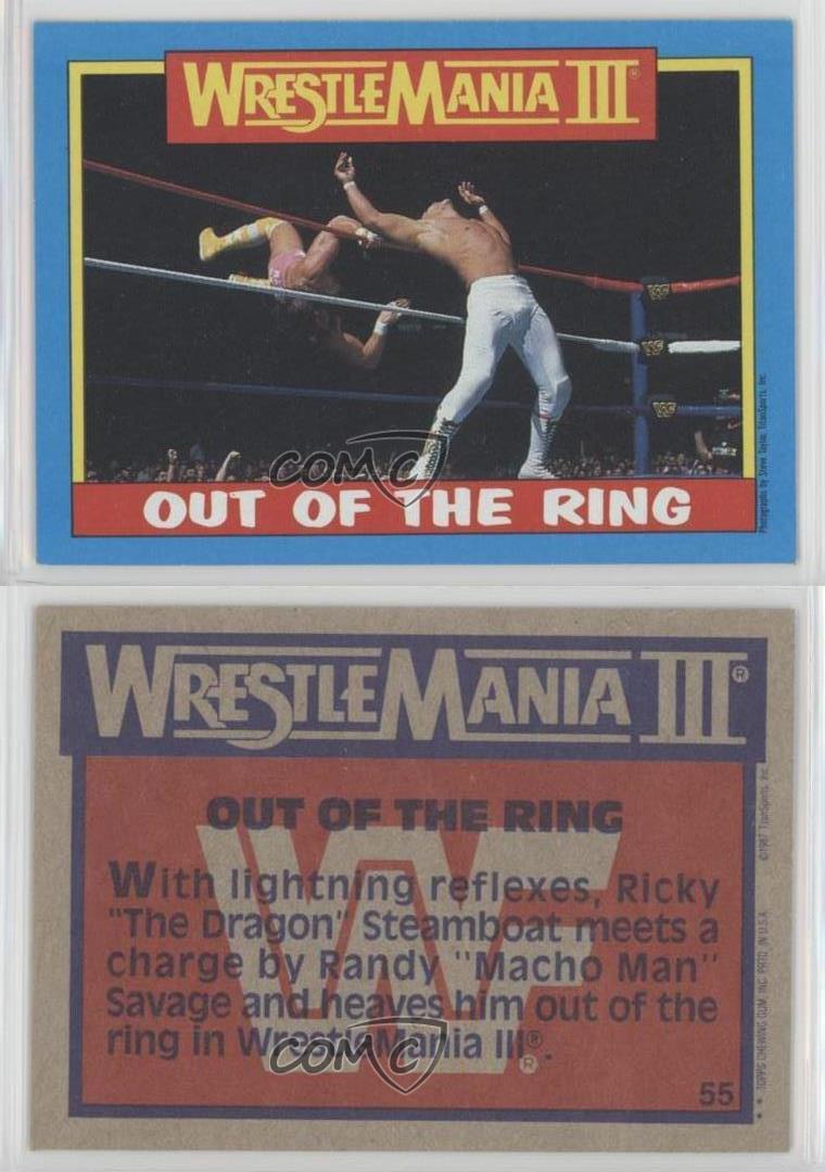 Wrestling Wrestling 1987 Topps #21 Ricky The Dragon Steamboat