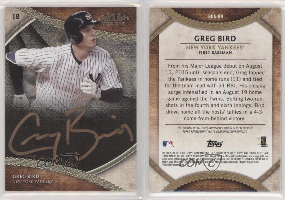 Greg Bird 2017 Topps Baseball 25 Card Lot New York Yankees #NYY-7 