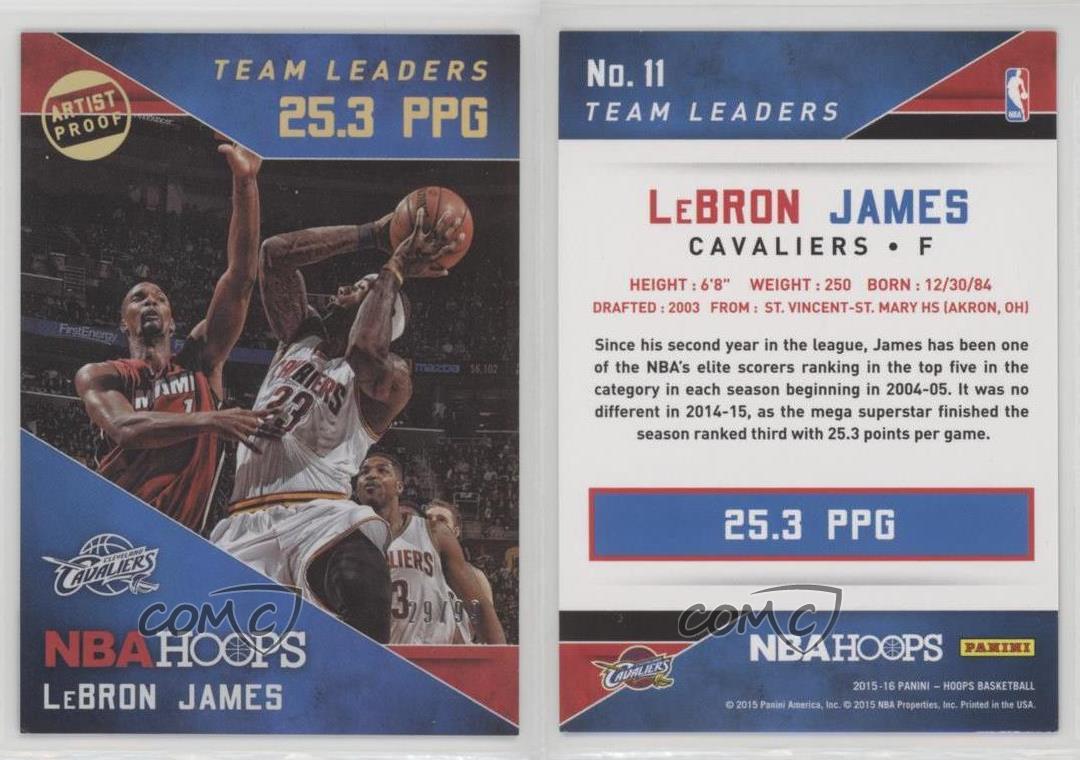 2015-16 Panini NBA Hoops Team Leaders Artist Proof Holo /99 LeBron James #11 - Foto 3 di 3