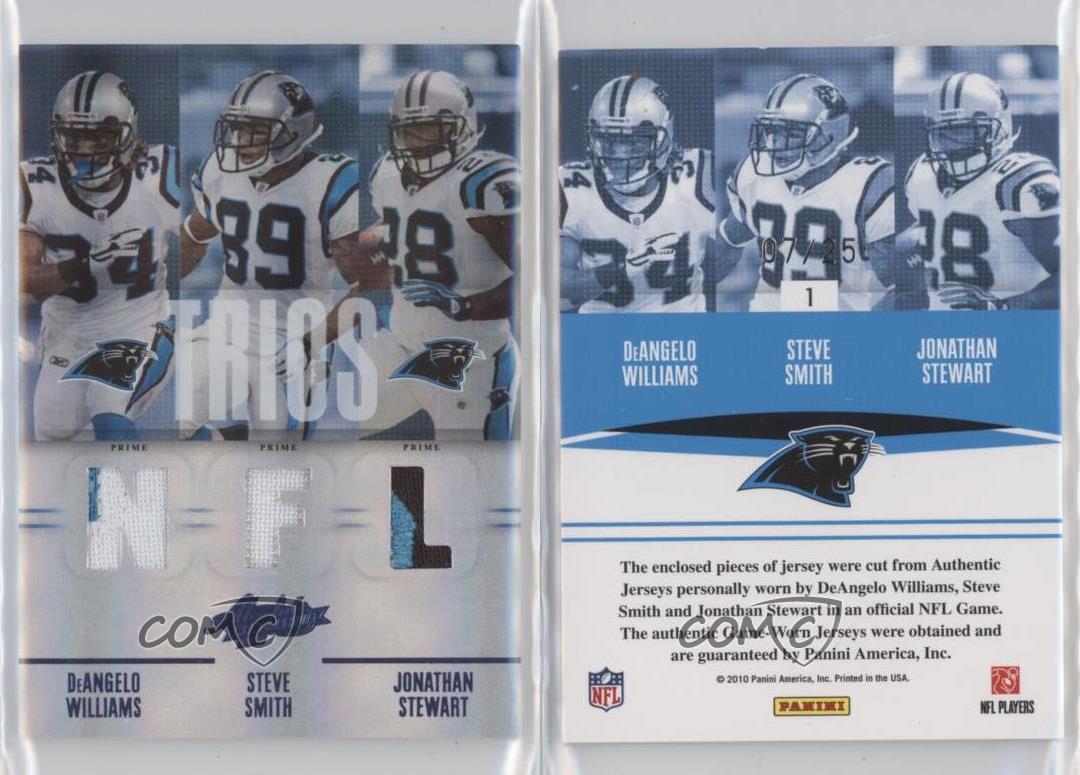 2010 Panini Absolute Memorabilia Spectrum Die-Cut NFL Prime /25 Steve Smith #1 - Picture 3 of 3