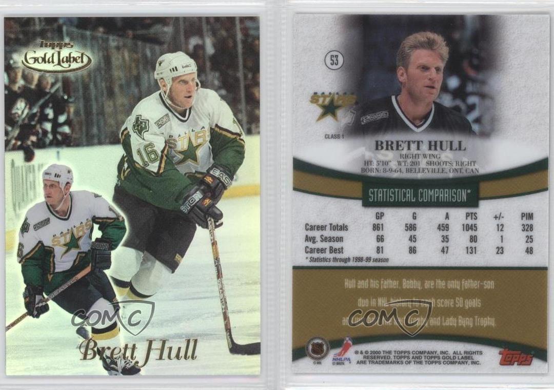 download brett hull dallas stars download brett hull dallas stars