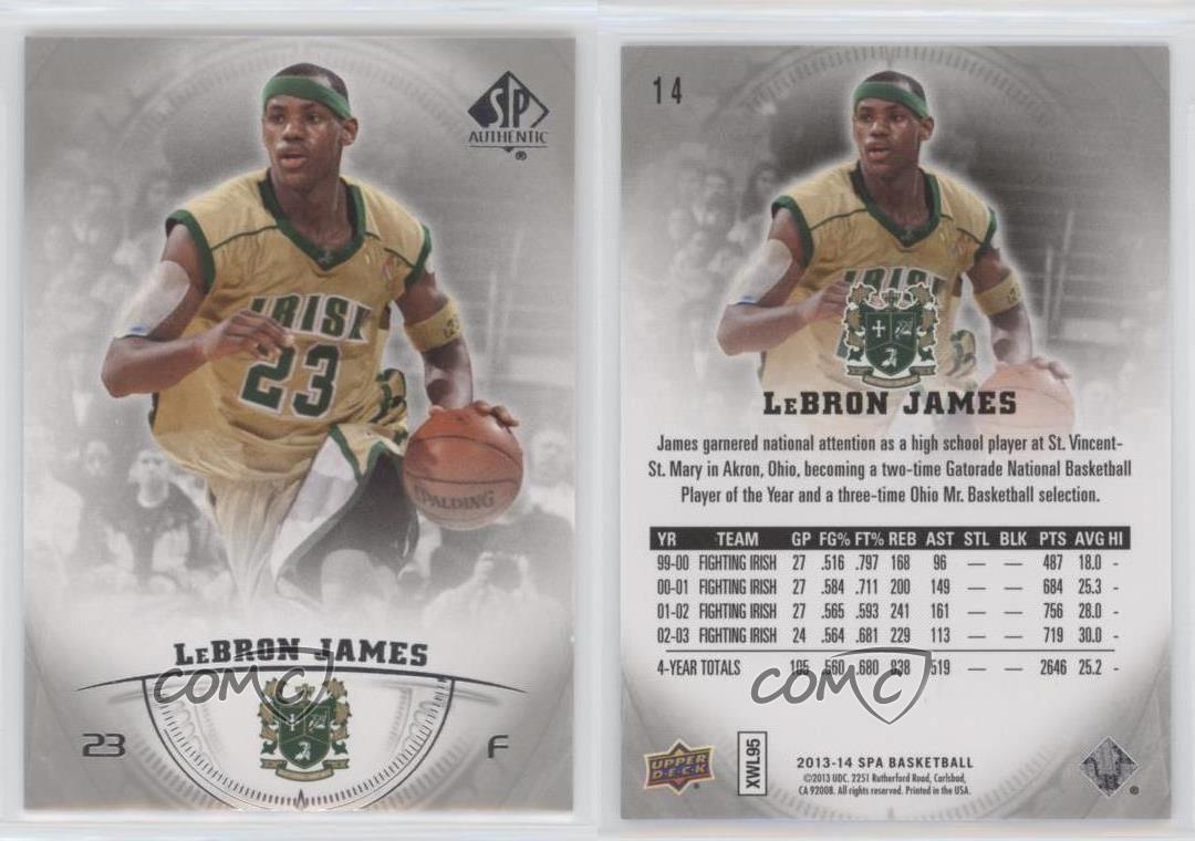 lebron james authentic