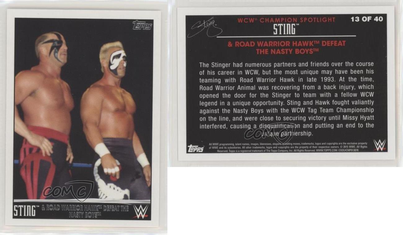2015 Topps WWE Wal-Mart Exclusive Tribute The Nasty Boys collections Sting Road Warrior Hawk