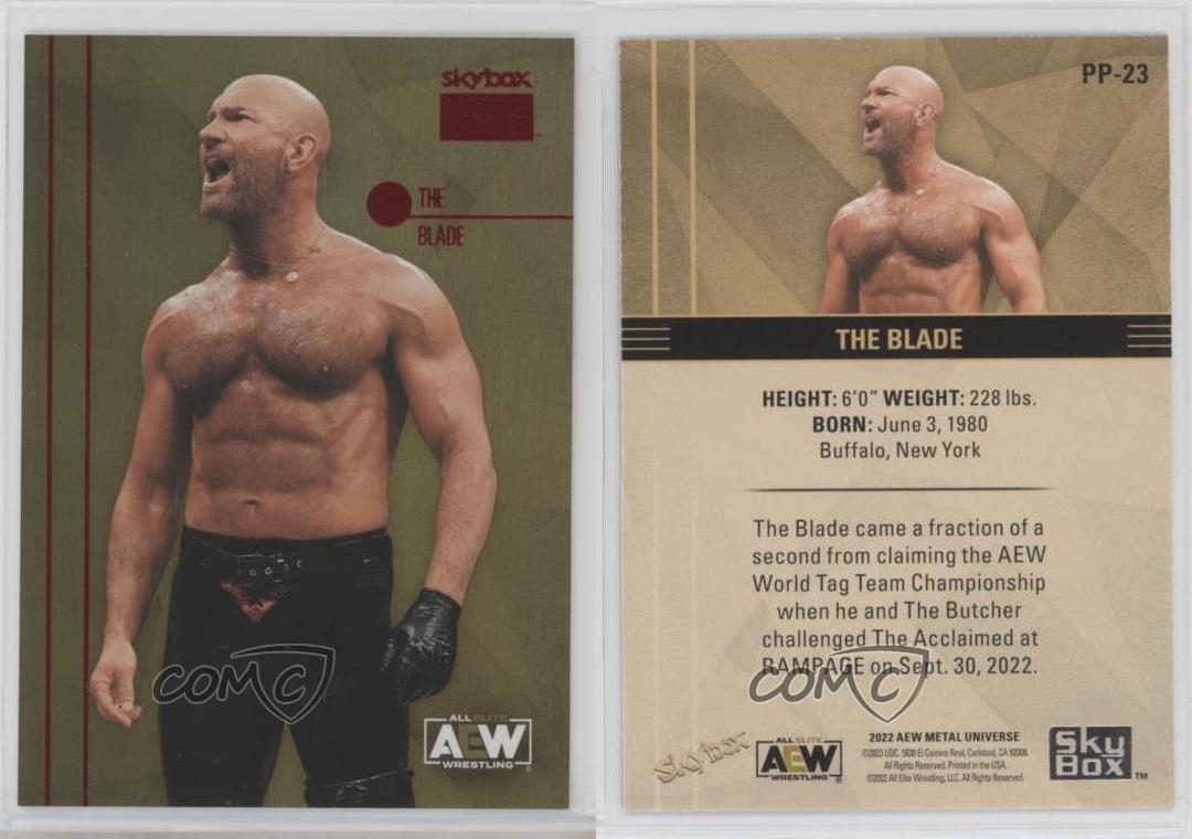 2022 Skybox Metal Universe AEW All Elite Wrestling Premium The Blade #PP-23