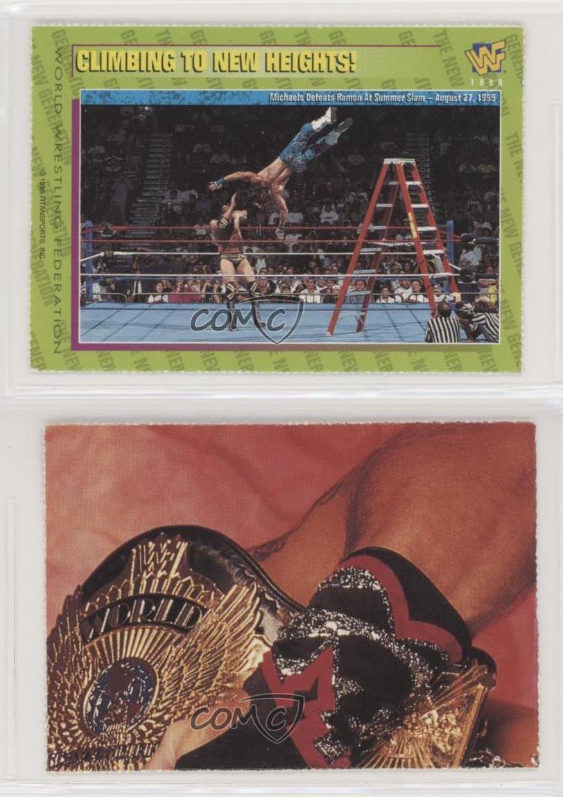 Vente en gros Cartes Magazine WWF 1996-98 Grimpant vers de nouveaux sommets !