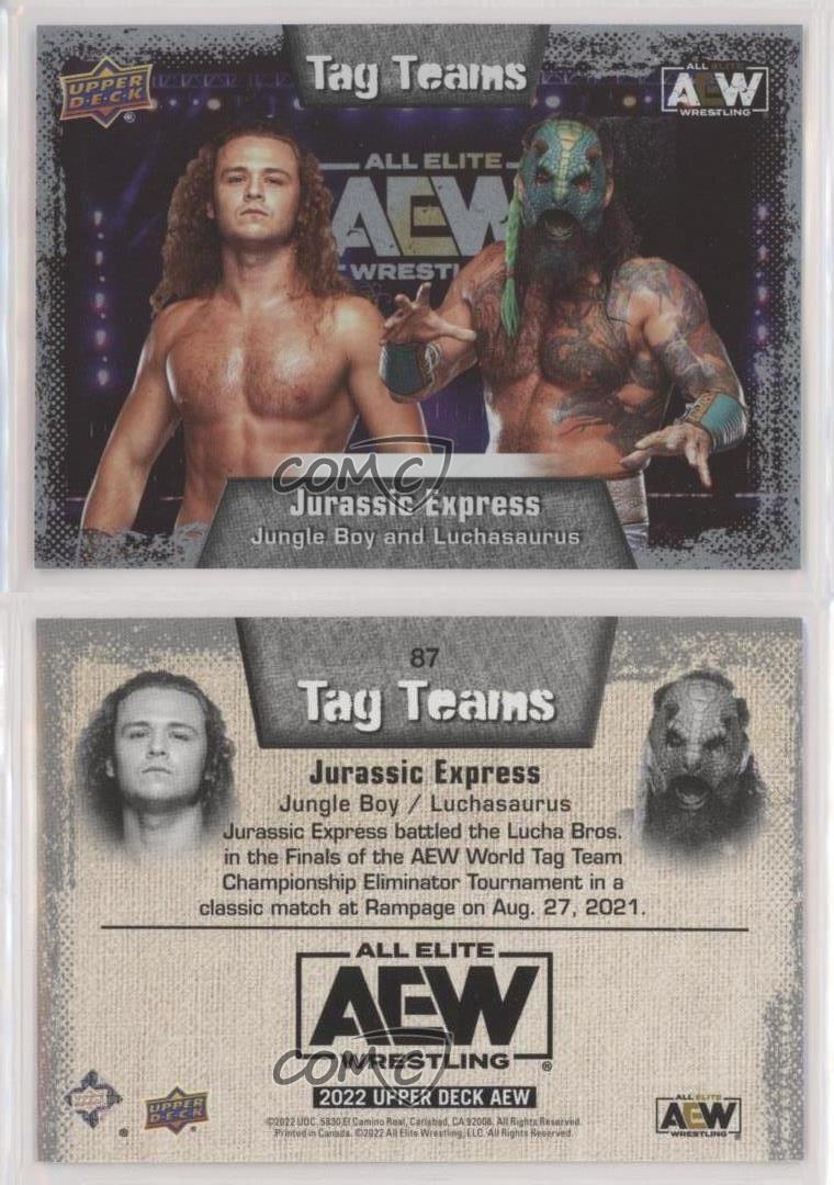 2022 AEW All Elite Wrestling Silver Foil Jungle Boy Jack Perry Luchasaurus Patch