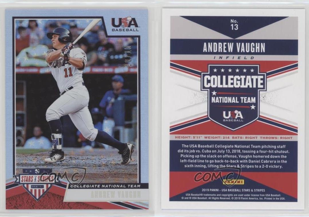 ANDREW VAUGHN 2019 USA Baseball Stars and Stripes Auto Bat #19/49