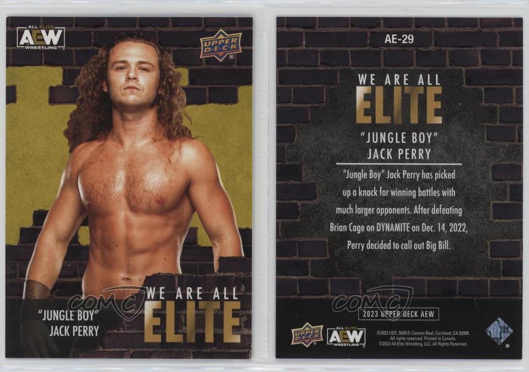 2023 Upper Deck AEW All Elite Wrestling We Are Jungle Boy Jack Perry #AE-29