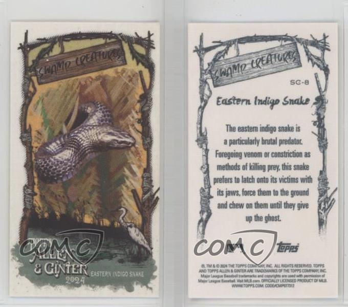 Mini serpent indigo de lEst 2024 Topps Allen & Ginter créatures des boutiques marais #SC-8