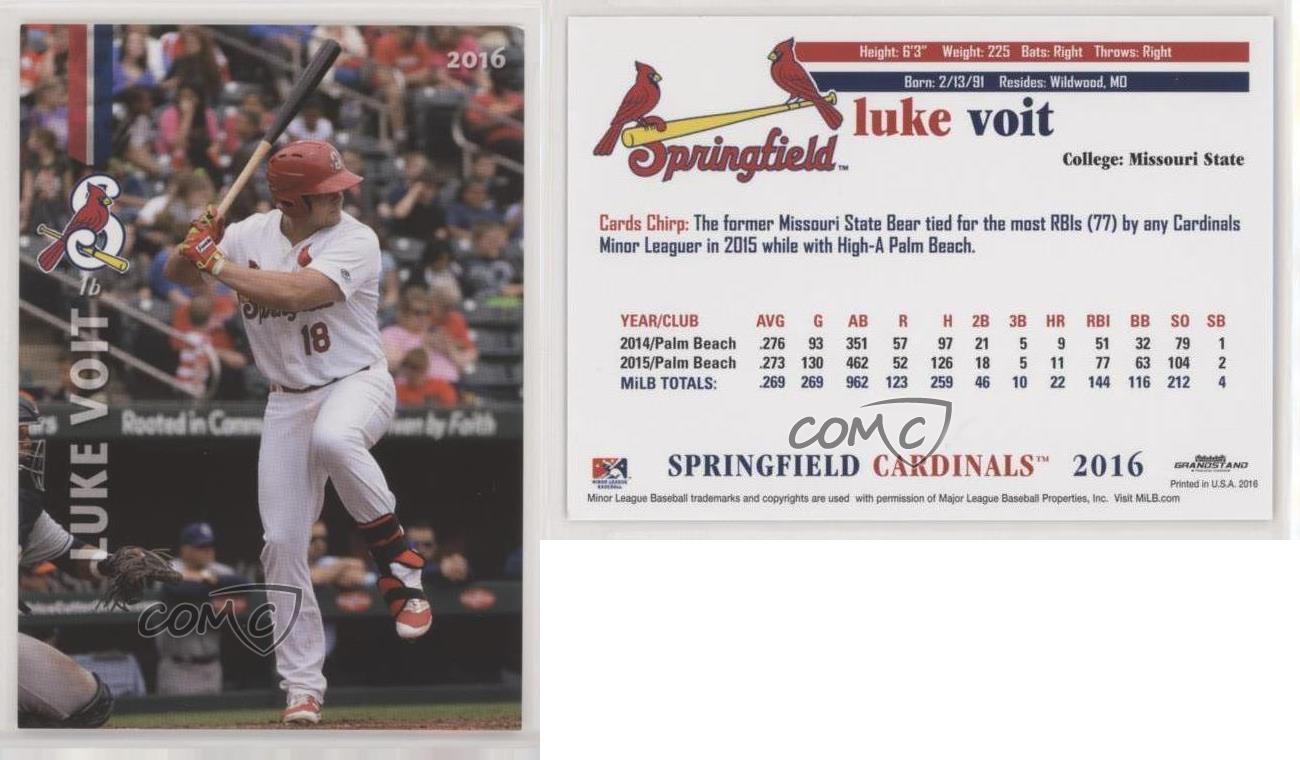 2016 Grandstand Springfield Cardinals Luke Voit - Picture 3 of 3