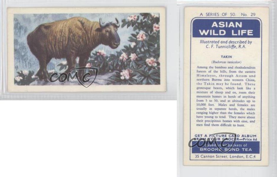 1962 Brooke Bond Asian Wild Life Tea Takin #29 1i3 | eBay