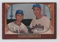 Bobby Shantz, Billy Shantz