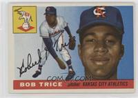 Bob Trice