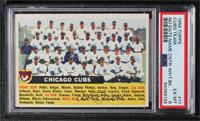 Chicago Cubs Team (White Back, Team Name Centered) [PSA 6 EX‑MT]