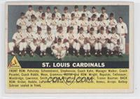 St. Louis Cardinals Team (Gray Back)