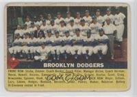 Brooklyn Dodgers Team (Gray Back)