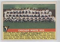 Chicago White Sox Team