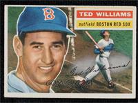 Ted Williams (White Back)