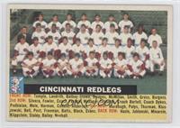 Cincinnati Redlegs Team (Gray Back, Team Name Centered)