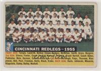 Cincinnati Redlegs Team (White Back, Team Name and Year) [Good to VG&…