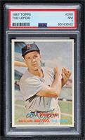 Scarce Series - Ted Lepcio [PSA 7 NM]