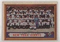 Scarce Series - New York Giants Team