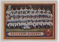 Scarce Series - Brooklyn Dodgers Team