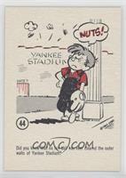 No Fair Ball Yankee Stadium