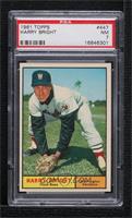 Harry Bright [PSA 7 NM]