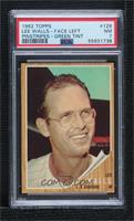 Lee Walls (In pinstripe jersey, Green Tint) [PSA 7 NM]