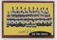 New York Yankees Team