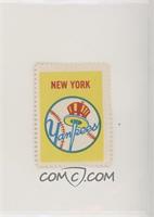 New York Yankees Team