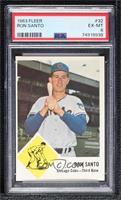 Ron Santo [PSA 6 EX‑MT]