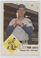 Ron Santo