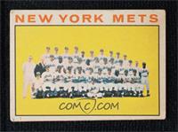 New York Mets Team