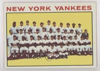 New York Yankees Team