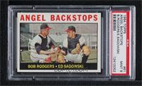 Angel Backstops (Ed Sadowski, Bob Rodgers) [PSA 9 MINT]