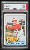 Pete Rose [PSA 7 NM (OC)]