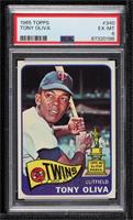 Tony Oliva [PSA 6 EX‑MT]