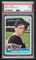 Rocky Colavito [PSA 7 NM]