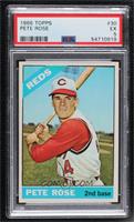 Pete Rose [PSA 5 EX]