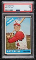 Pete Rose [PSA 5 EX]