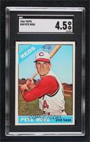 Pete Rose [SGC 4.5 VG/EX+]