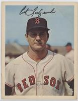 Carl Yastrzemski