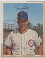 Ron Santo