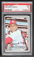 Orlando Cepeda [PSA 5 EX]