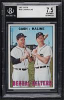 Bengal Belters (Norm Cash, Al Kaline) [BGS 7.5 NEAR MINT+]