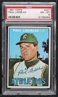 Paul Lindblad [PSA 8 NM‑MT]