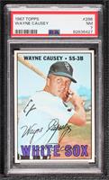 Wayne Causey [PSA 7 NM]